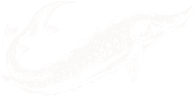 Product description background